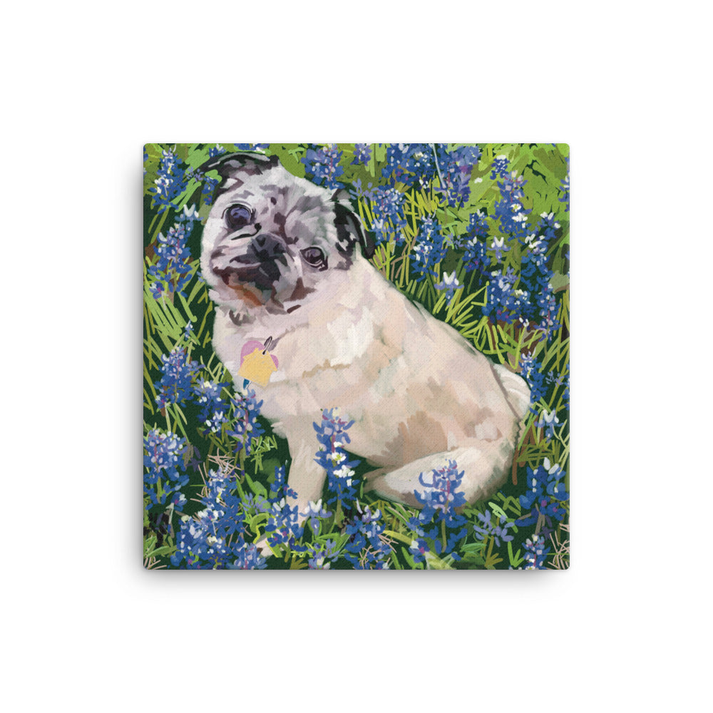 Daisy canvas Canvas