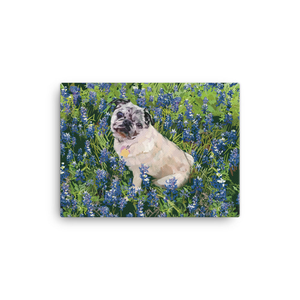 Daisy canvas Canvas